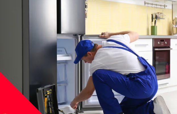 Defne Samsung Servisi