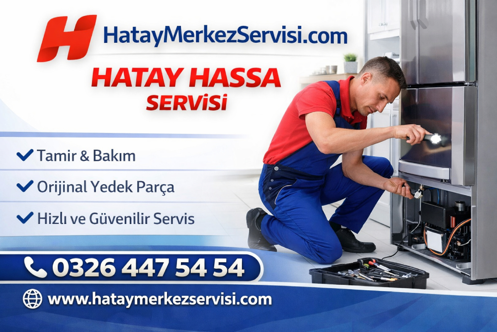 Vestel Hassa Servisi