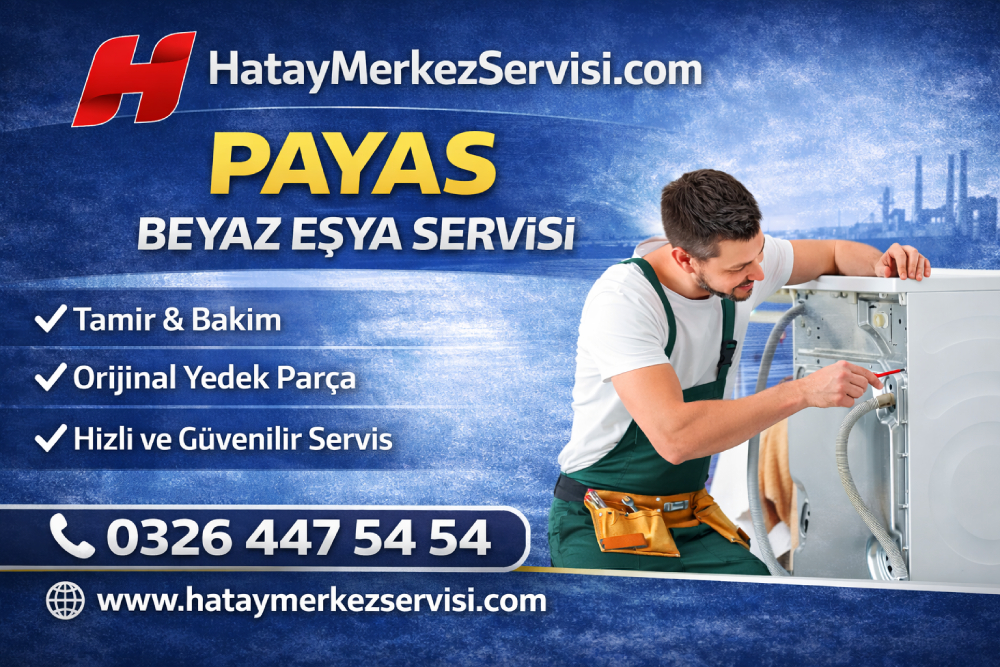 Payas Samsung Servisi